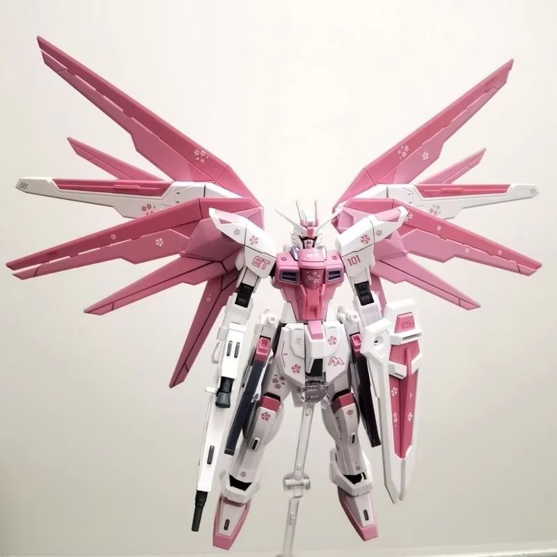 JMS HG 1/144 ZY-06 Freedom Ass - Model Kit Kshatriya review and price
